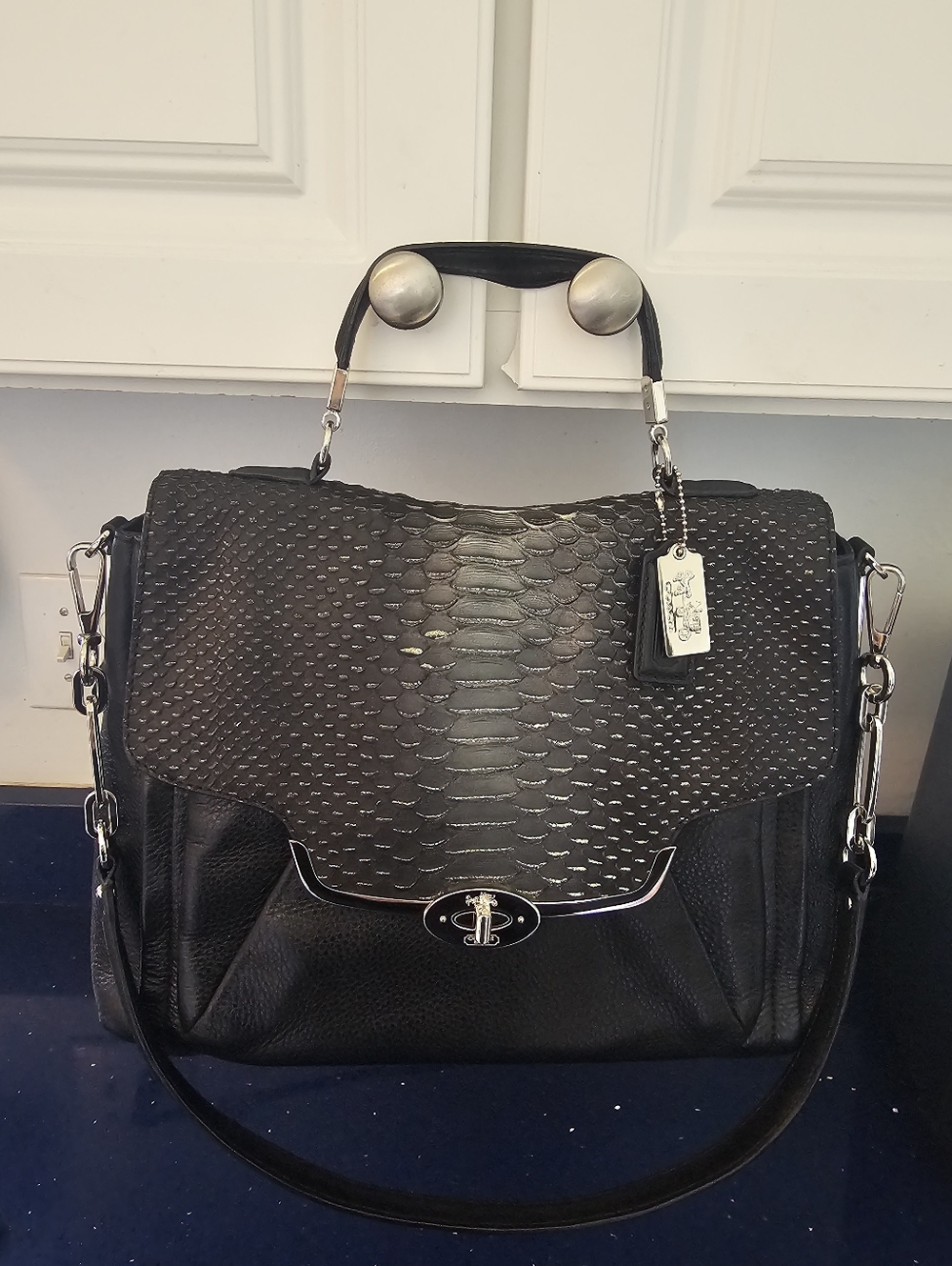 Coach Black With Snake Skin Detail 26338